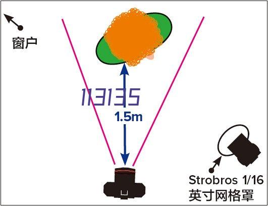 镜面辊