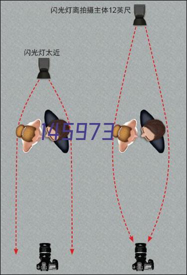 皇帝菊的栽培技术