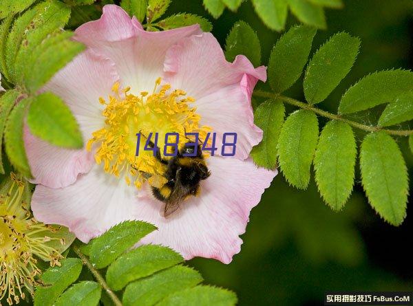 烈士纪念日向人民英雄敬献花篮仪式在京隆重举行 习近平等党和国家领导人出席