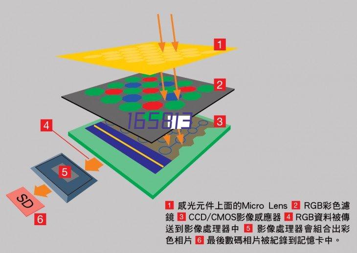 郭小兵（常务副会长）