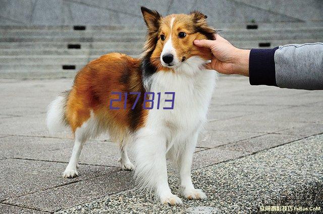 凱恩：小組賽已經過去了我們油箱裏還有更多油 球迷的支持沒變