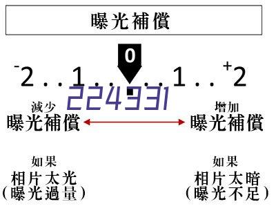 🍤🐷❤️綠軍球迷奪冠遊行舉牌：東契奇會抱怨這裏的交通