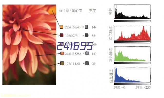 市机关事务中心举办“我们的节日—元宵节”灯谜竞猜活动