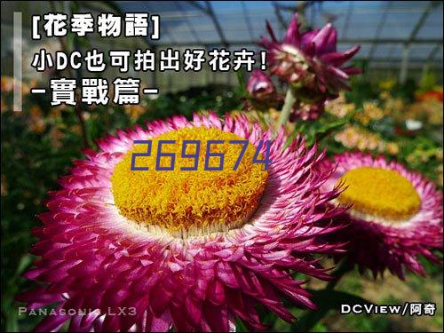 在日益激烈的竞争中，电动越野搬运车为施工单位提供了新的竞争优势。