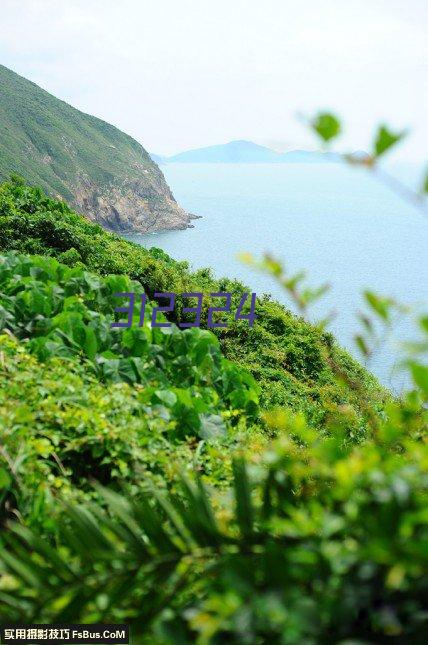 연변조선족기업가협회,주렁진 성과로 새 도약 꿈꾸다