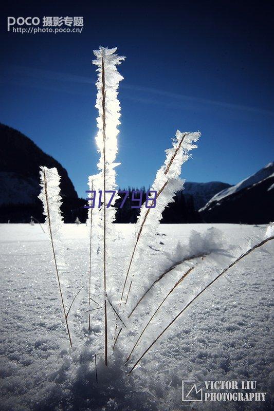 飞博士 白板笔墨水可擦可加墨白板笔墨水补充液大容量 成膜白板笔墨水100ml黑红蓝三色 蓝色