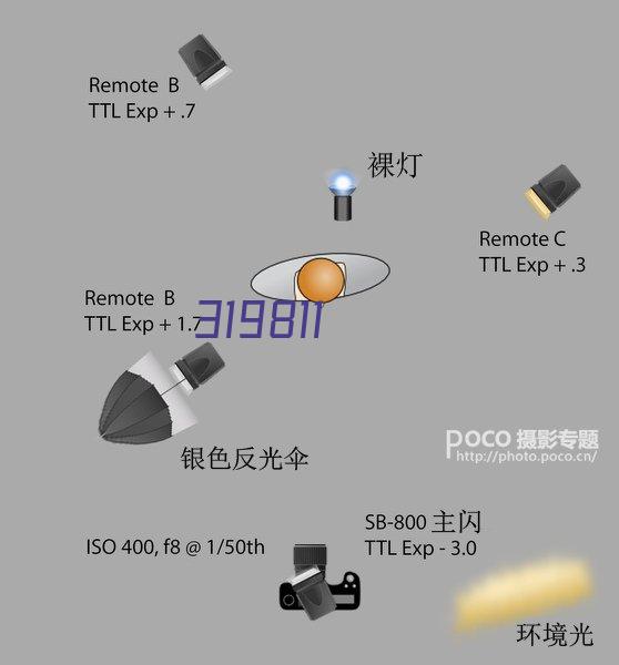 某公司应急措预案