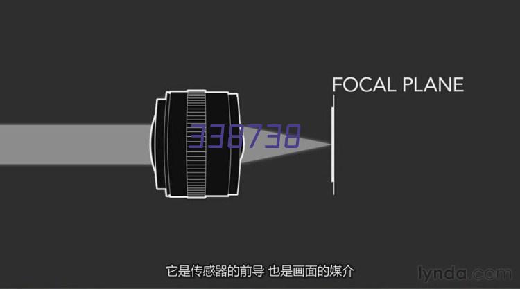 广西林业产业化龙头企业