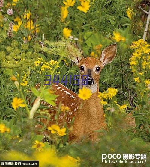 贝迪携多款自动锁螺丝设备亮相东莞“智博会”