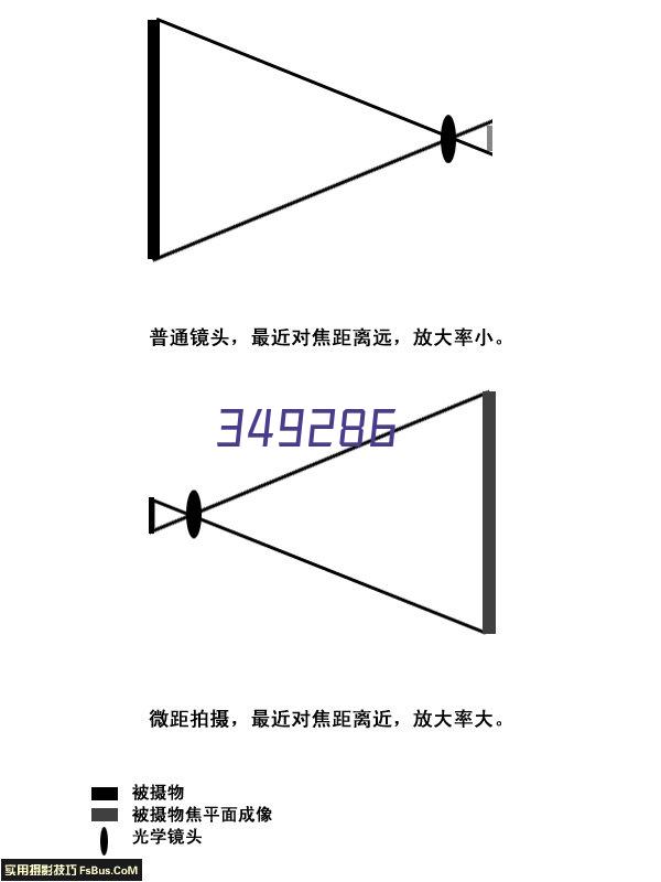 河北威尔特体育用品有限公司