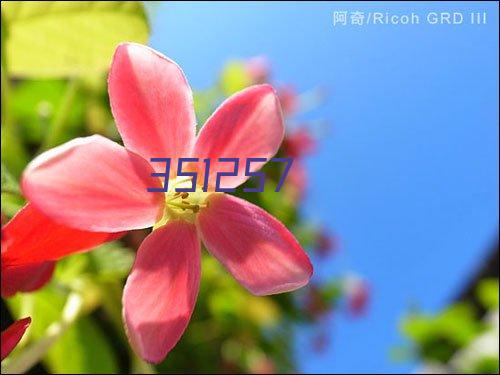 理光A4黑白打印机P501