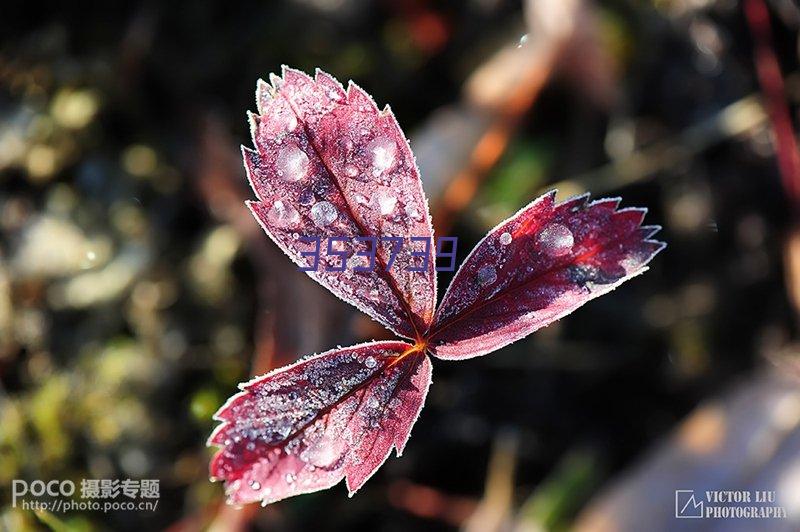 电容式液位计：高温、高压、强腐蚀环境下的可靠选择