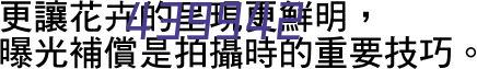 省民政厅厅长李丽在仙桃市社会福利院开展调研工作