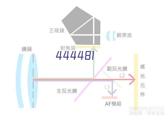 不锈钢亮面弹簧丝