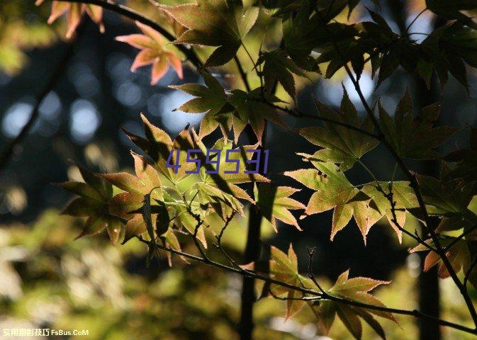 膜结构遮阳棚