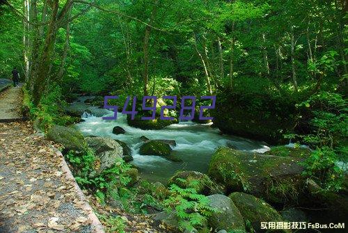 中部海岸青年队