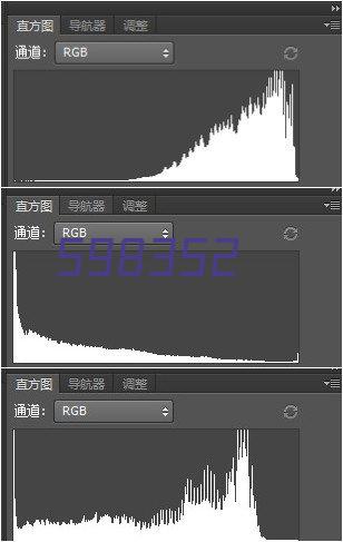 脂质过氧化探针C11-BODIPY 581/591