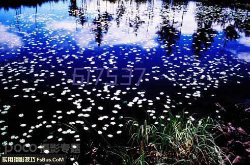 实贝丰17-8-27水溶肥