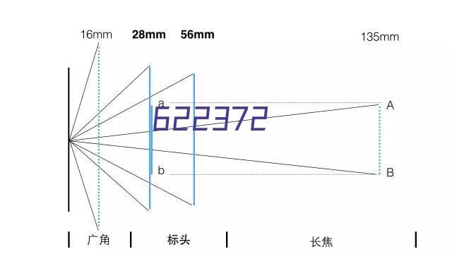 碧桂园楼王样板间