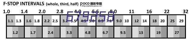 鸡脱毛机