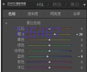 山东帅迪医疗科技有限公司