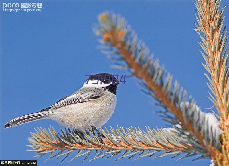 防火卷帘门控制箱损坏原因