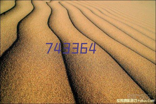 日照海边的漫时光之旅——2024年公司全体员工旅游活动