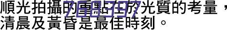 首尔衣恋logo