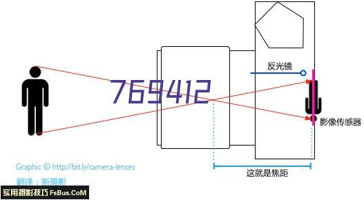 咨询指导