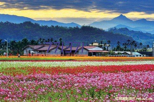 大自然地板