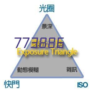 羿科Aegle全身救援豪华型安全带+双头缓冲带 套装PN56+PN361 1套