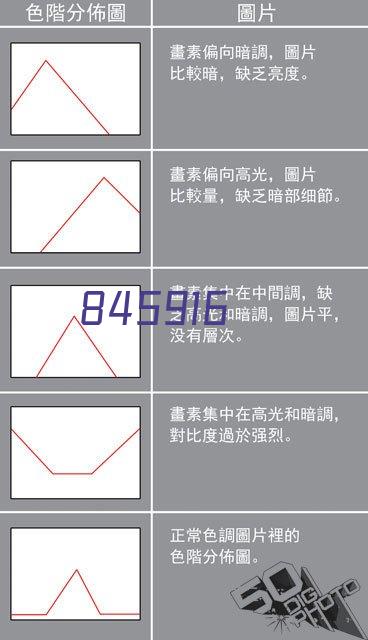 伊斯顿沙伯女足