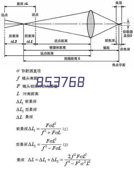 跨境电商携手欧洲伙伴 共筑新的供应链——中岳“出海”纪实