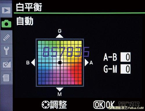 汤臣倍健 维生素C加天然维生素E咀嚼片 60片