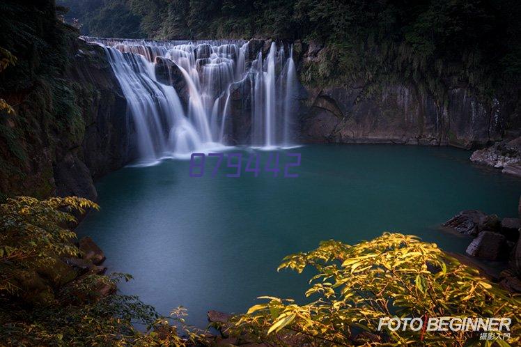 首页公司简介图片