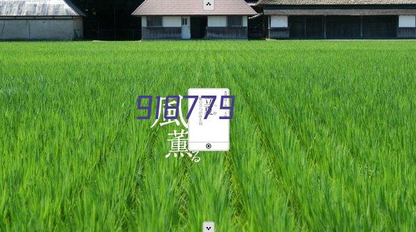 广州市花都区狮岭镇旗岭大街166号新民商务大楼6楼606