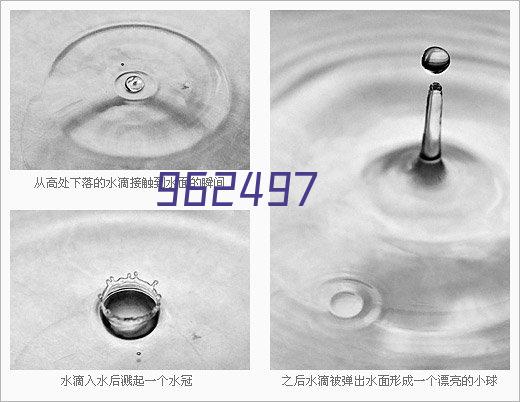 京都不死鸟vs柏太阳神