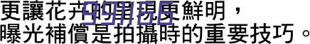 深圳宝安发布“低空十条” 打造低空经济发展标杆