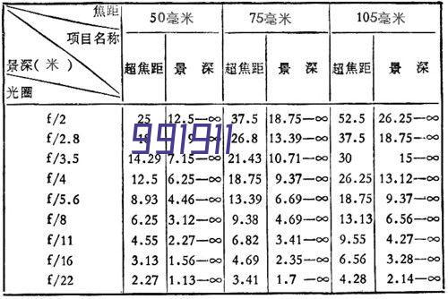 乔治罗尼亚